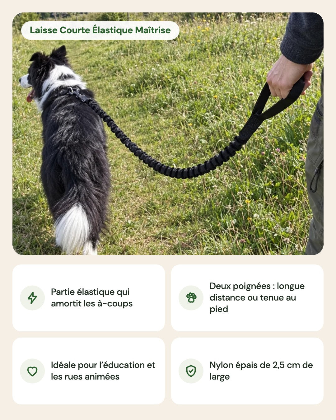 Laisse Courte Élastique Maîtrise – points forts