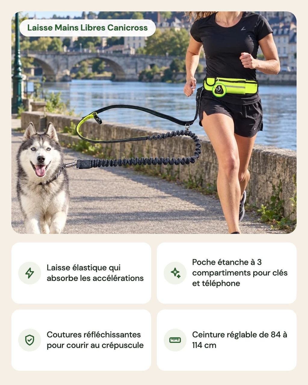 Laisse Mains Libres Canicross – points forts