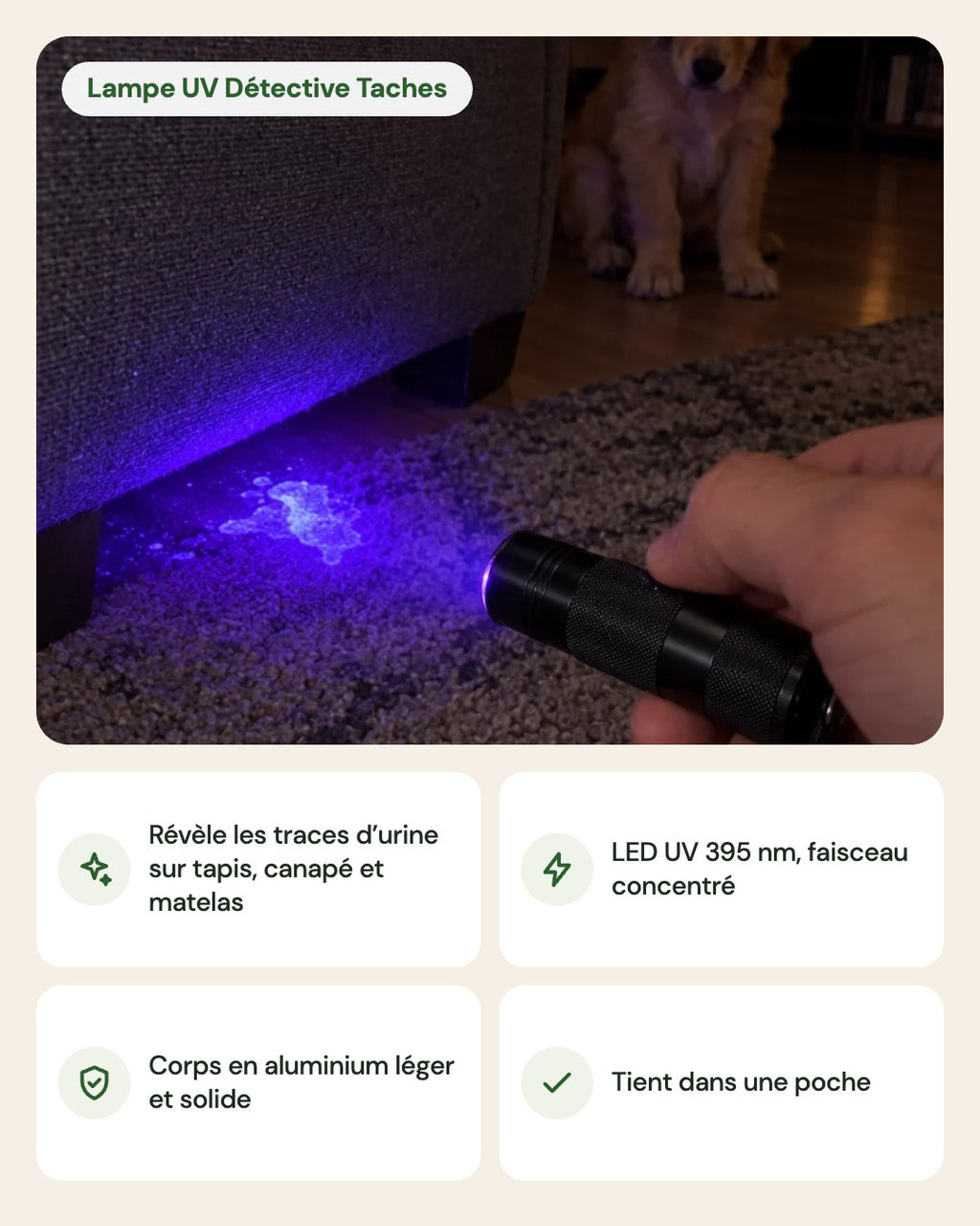 Lampe UV Détective Taches – points forts