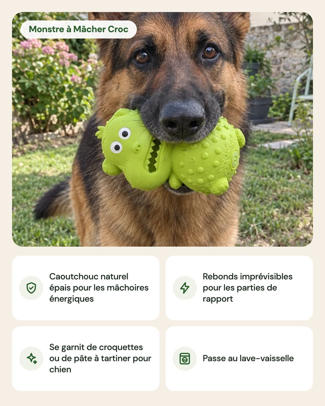 Monstre à Mâcher Croc – points forts