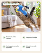 Oiseau Battant Piou-Piou – points forts