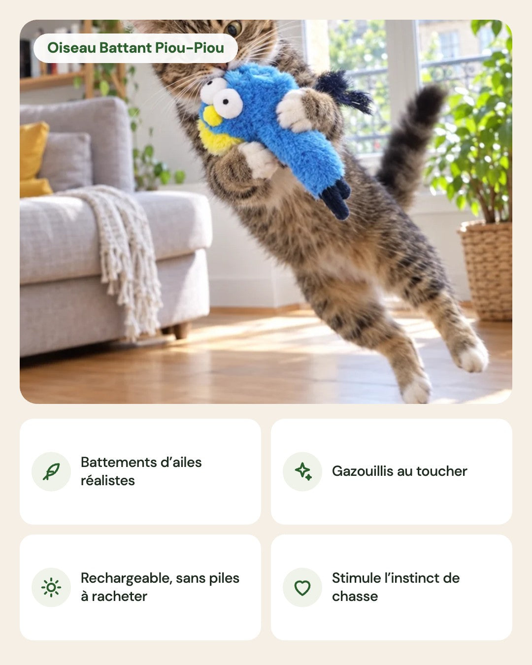 Oiseau Battant Piou-Piou – points forts