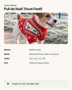 Pull de Noël Tricot Festif – fiche produit