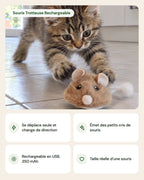 Souris Trotteuse Rechargeable – points forts