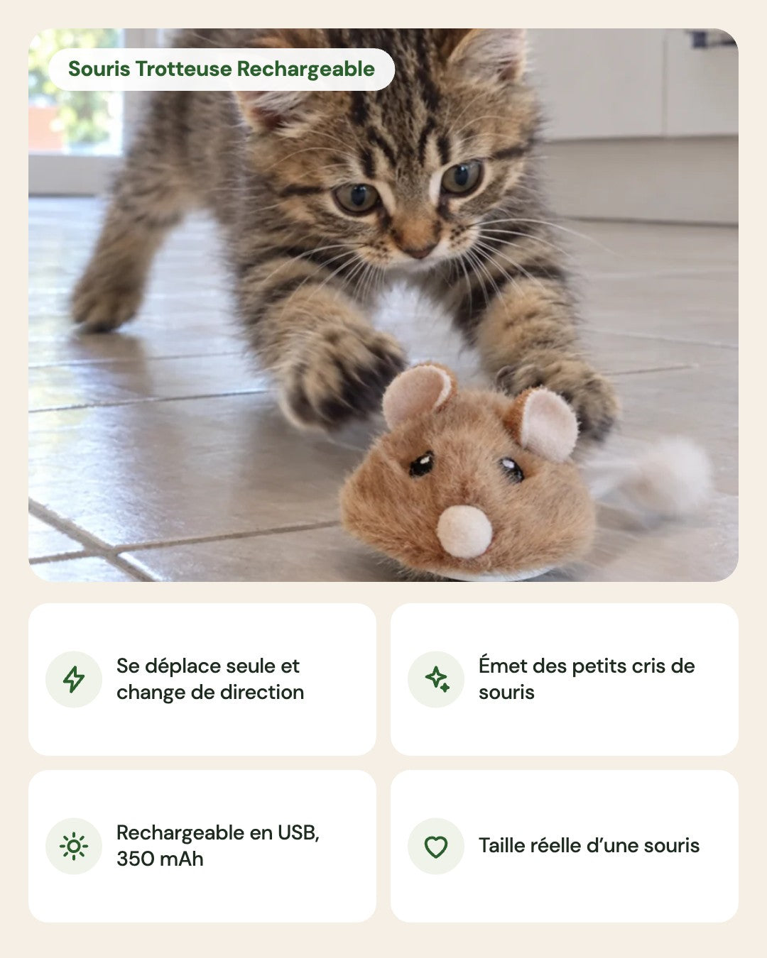 Souris Trotteuse Rechargeable – points forts