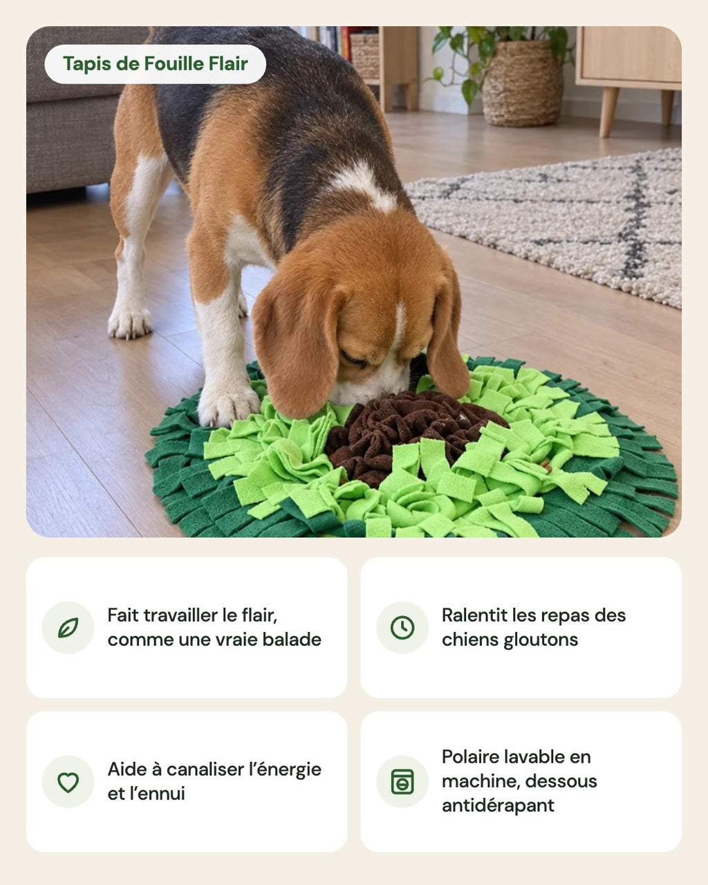 Tapis de Fouille Flair – points forts
