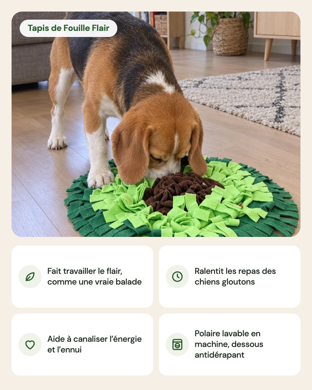 Tapis de Fouille Flair – points forts