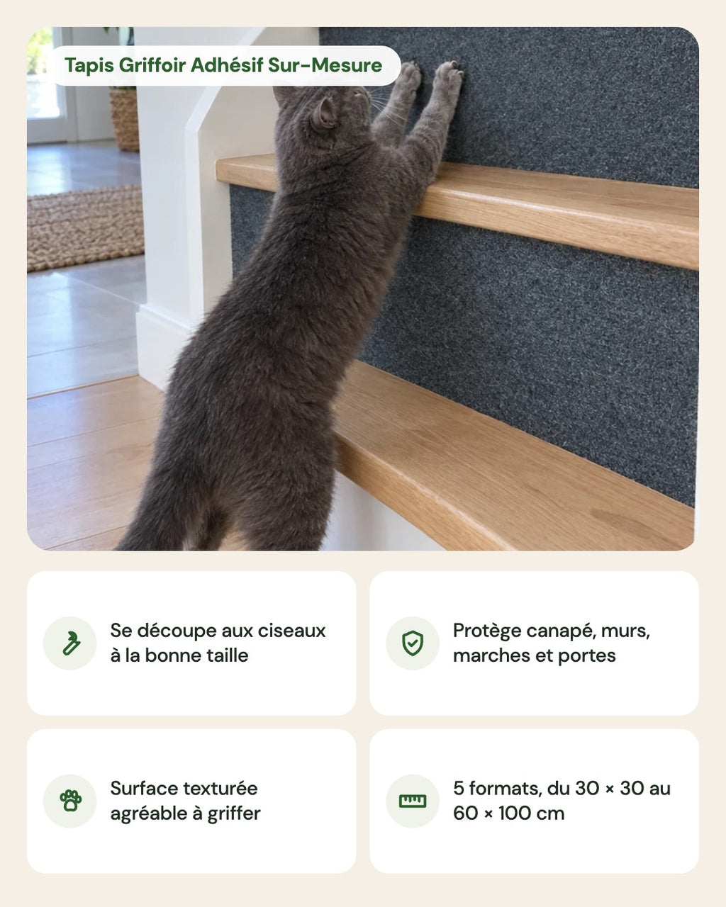 Tapis Griffoir Adhésif Sur-Mesure – points forts