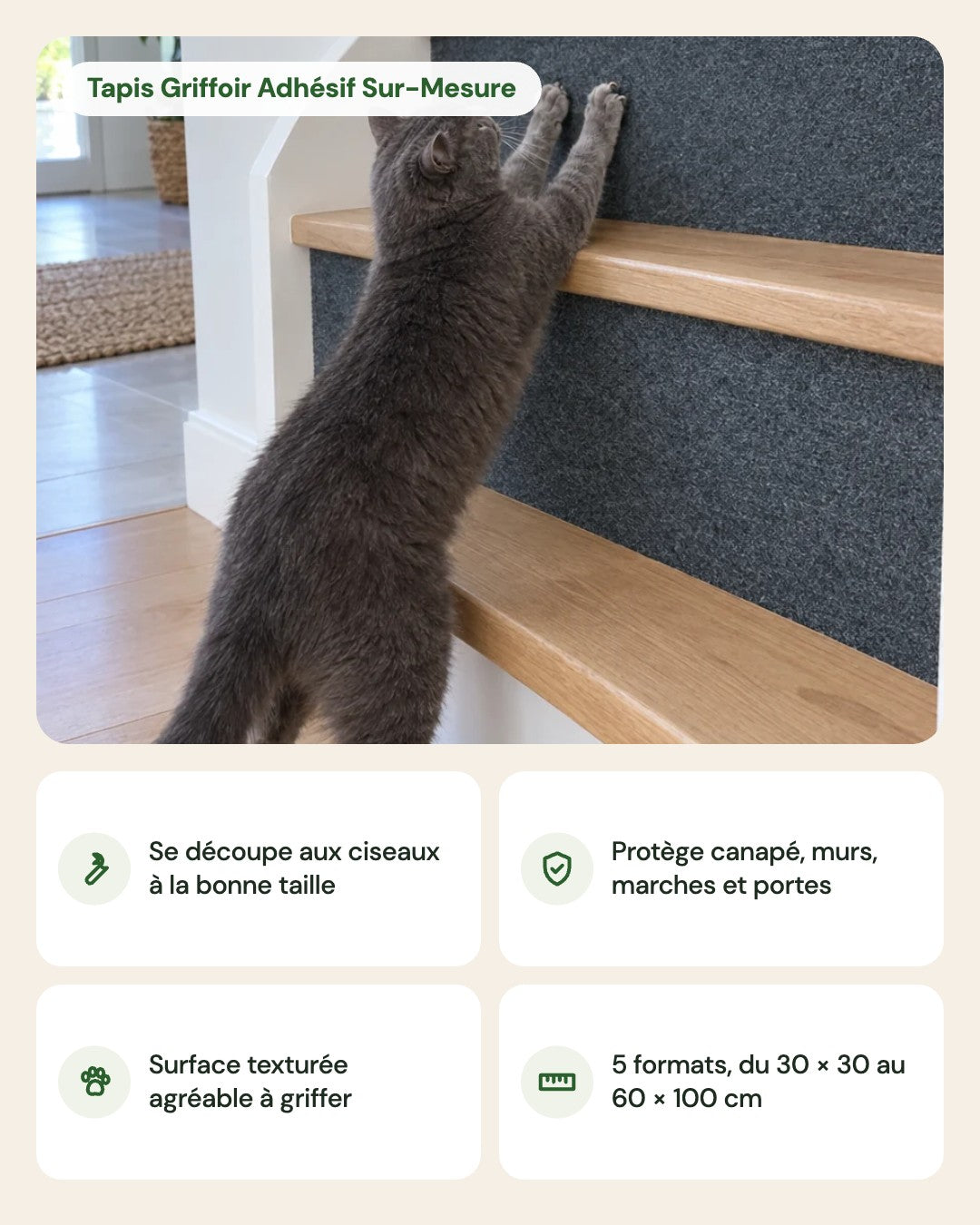 Tapis Griffoir Adhésif Sur-Mesure – points forts