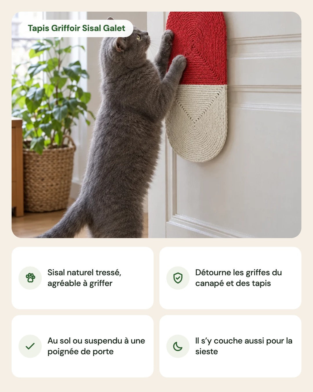 Tapis Griffoir Sisal Galet – points forts